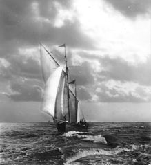 George Woods circa 1890